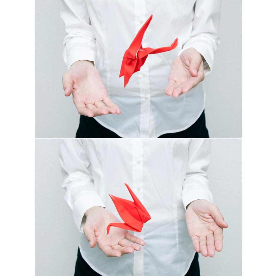 メガネ拭き クリーナー めがね スマホ 眼鏡 メガネ 鶴 ペンギン あひる 富士山 モダン プレゼント かわいい ギフト 雑貨 PON peti peto プッチペット クリスマス | 100percent | 04