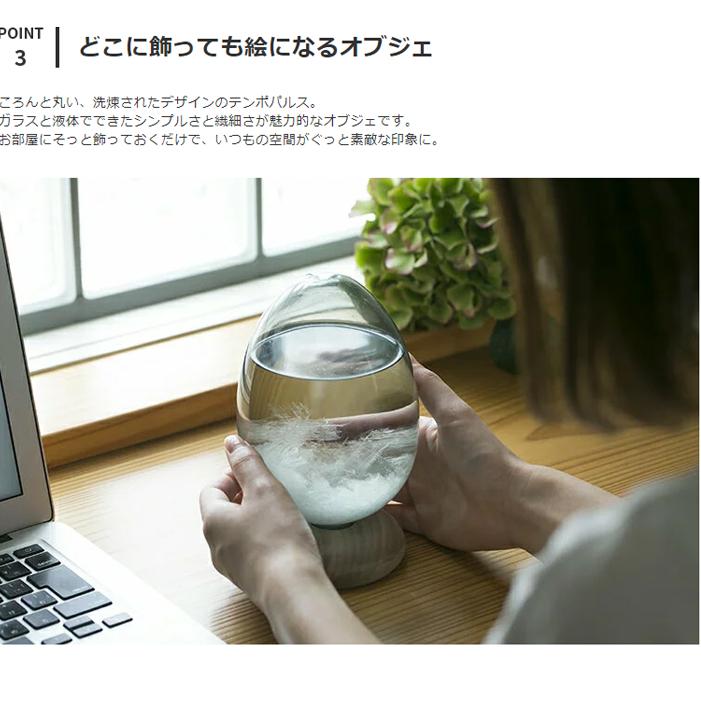オブジェ 天気予報 クリア ストームグラス 卵型 たまご 透明 かわいい インテリア 飾り プレゼント おしゃれ テンポパルス ドーン Tempo Pulse DAWN 100percent | 100percent | 04