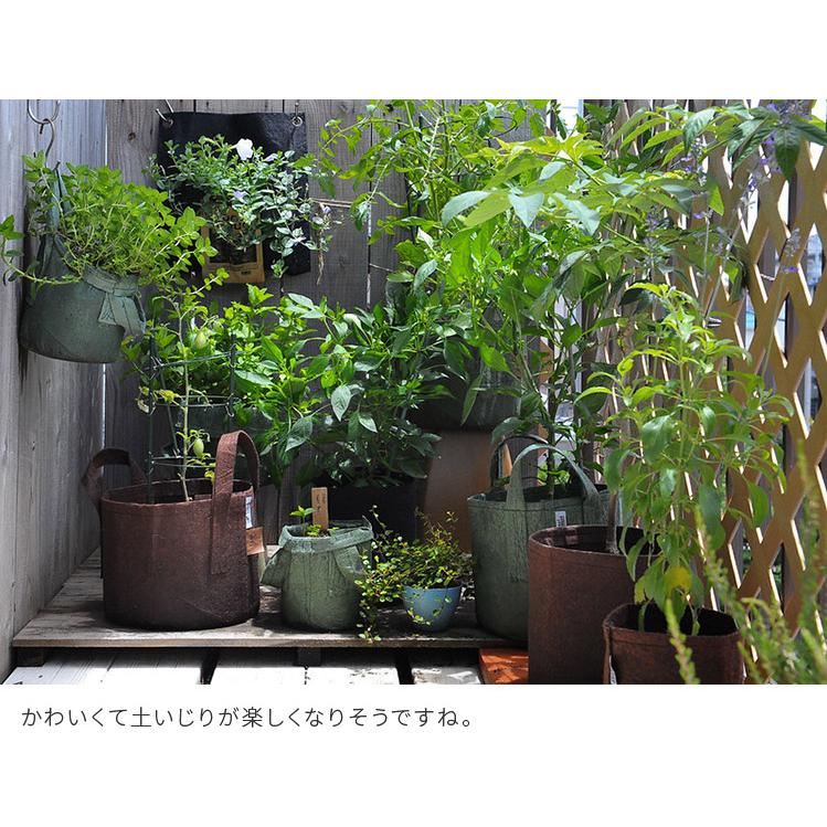 植木鉢 ルーツポーチ 8L 直径21cm 不織布製 鉢カバー プランター ガーデニング グリーンインテリア 家庭菜園 観葉植物 塊根植物 多肉植物 4号 5号用 | ブランド登録なし | 12
