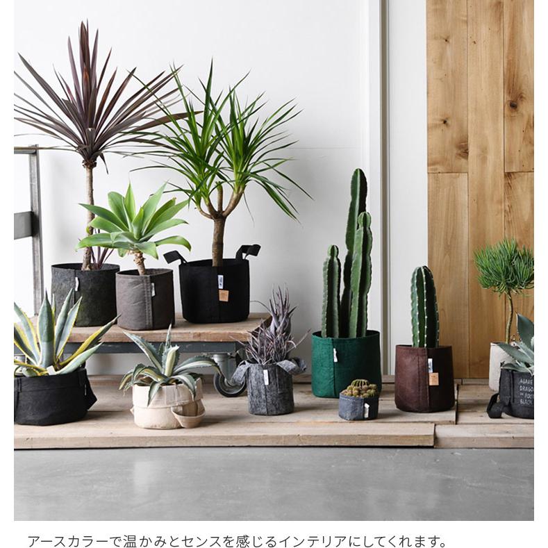 植木鉢 ルーツポーチ 8L 直径21cm 不織布製 鉢カバー プランター ガーデニング グリーンインテリア 家庭菜園 観葉植物 塊根植物 多肉植物 4号 5号用 | ブランド登録なし | 13