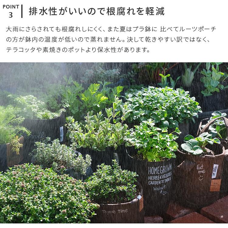 植木鉢 ルーツポーチ 8L 直径21cm 不織布製 鉢カバー プランター ガーデニング グリーンインテリア 家庭菜園 観葉植物 塊根植物 多肉植物 4号 5号用 | ブランド登録なし | 06