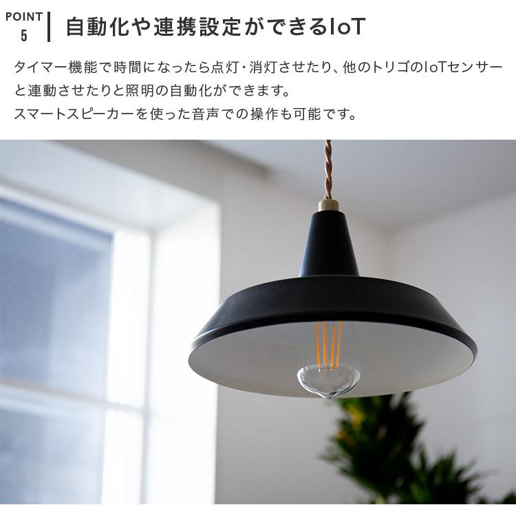 スマートLED電球 エジソン電球 調光 E26口金 スマホ操作 TOLIGO エジソンバルブ 裸電球 電球色 インテリア おしゃれ モダン レトロ スマホアプリ WiFi 遠隔操作 | ブランド登録なし | 08