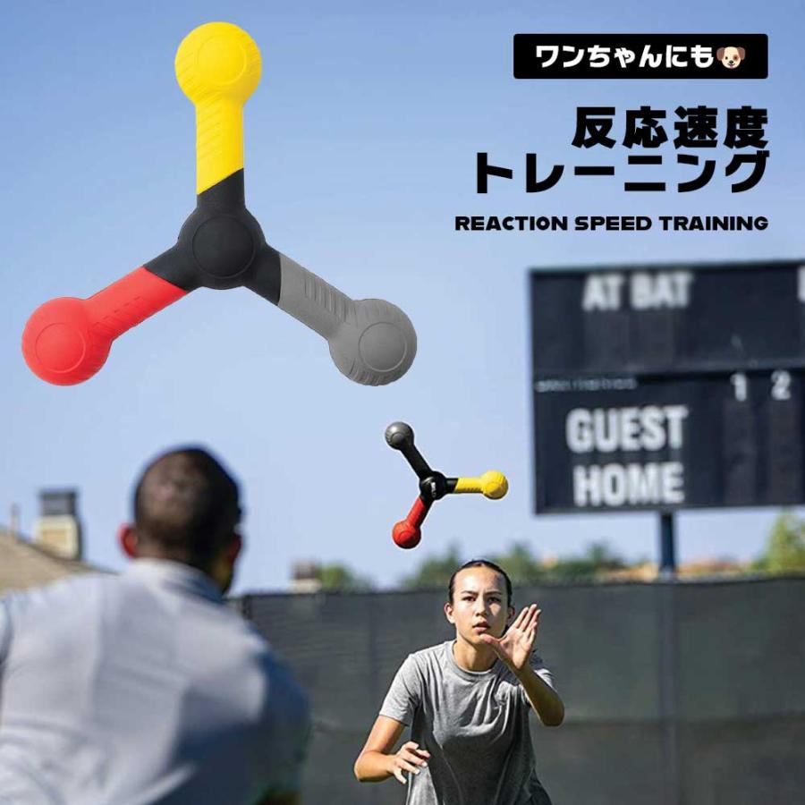 トレーニング 反射神経 反応速度 向上 スポーツ 訓練 キャッチ