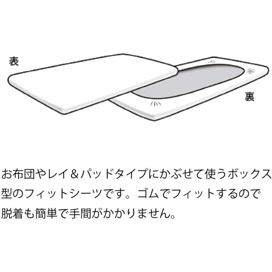シーツ クール 接触冷感 吸水速乾 マニフレックス magniflex NEW