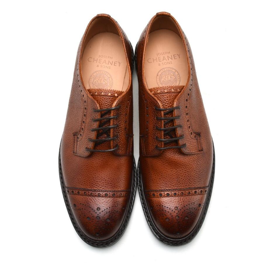 JOSEPH CHEANEY & SONS ジョセフチーニー テンターデン2 ドレス JOSEPH CHEANEY & SONS ジョセフチーニー テンターデン2 ドレス