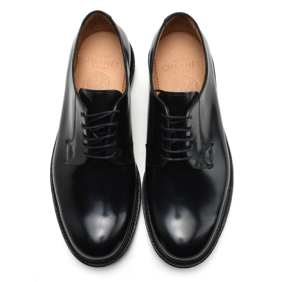 JOSEPH CHEANEY & SONS ジョセフチーニー ウェイ II ドレス JOSEPH CHEANEY & SONS ジョセフチーニー ウェイ II ドレス