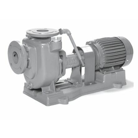 エバラ ポンプ Amazon.co.jp: 荏原製作所 GPA型 灯油用歯車ポンプ 50Hz 20GPA5