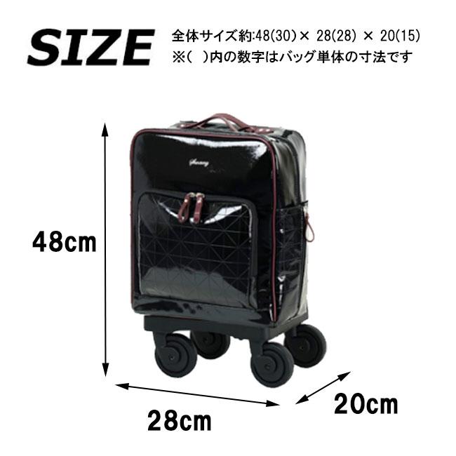 SWANY（スワニー） フランダ D-711 TS18 9L キャリーバッグ 75mm