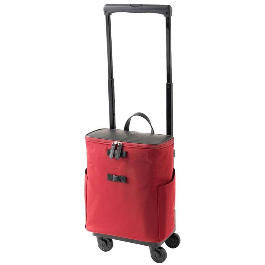 旅行用品 スワニー SWANY D-529 アミーカ M18 17L キャリーバッグ 60mm