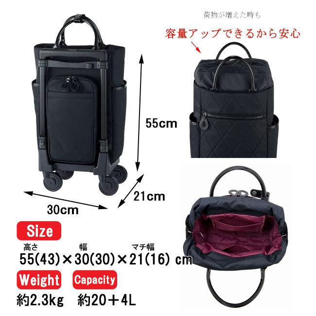 専用です　　スワニー　トランクキャリーケース SWANY（スワニー） キャリーバッグ SWANY D-645 シテーロ L21サイズ