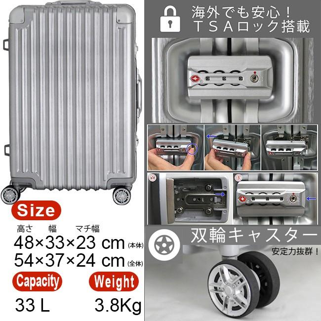 Siffler（シフレ） Siffler TRIDENT トライデント TRI1030-48 ハード