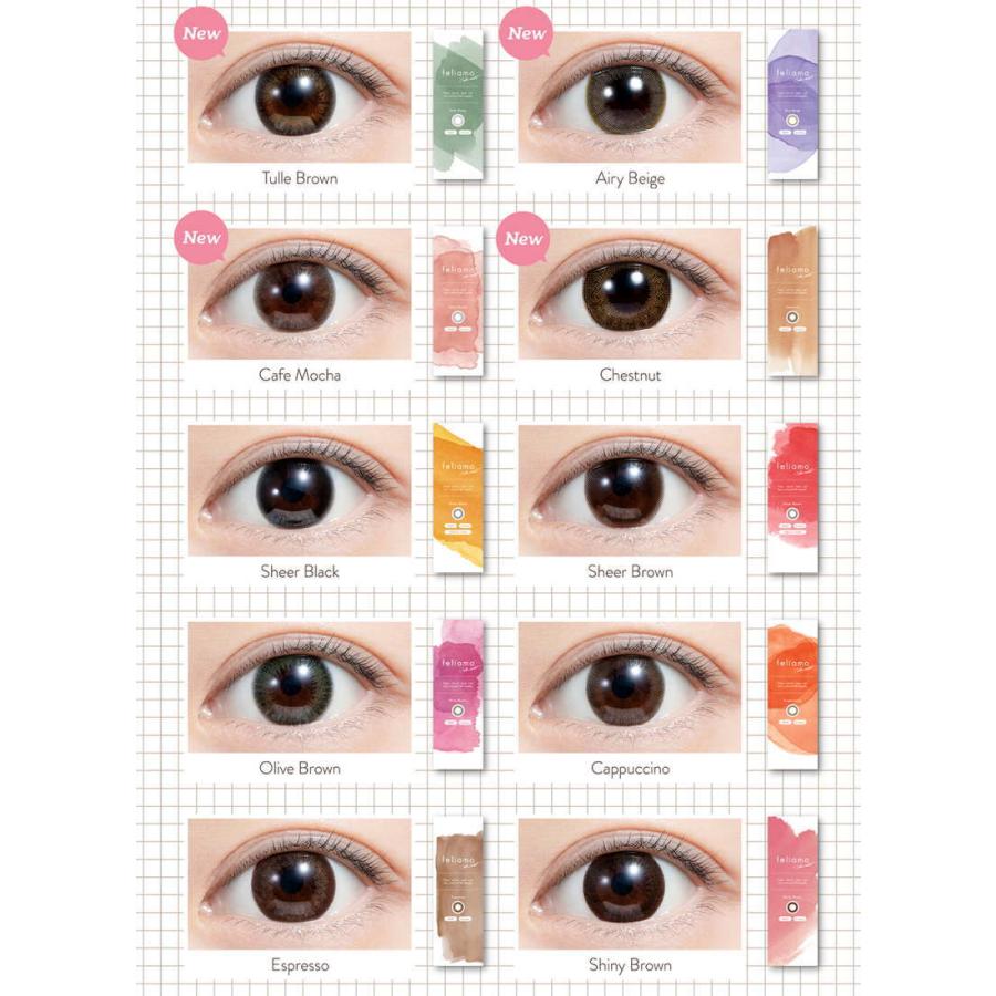 カラコン 2箱購入で1箱プラスキャンペーン フェリアモ ワンデーカラコン 1箱10枚 度あり 度なし Uv加工 高含水 55 カラコン通販 Clover Eyes 通販 Paypayモール