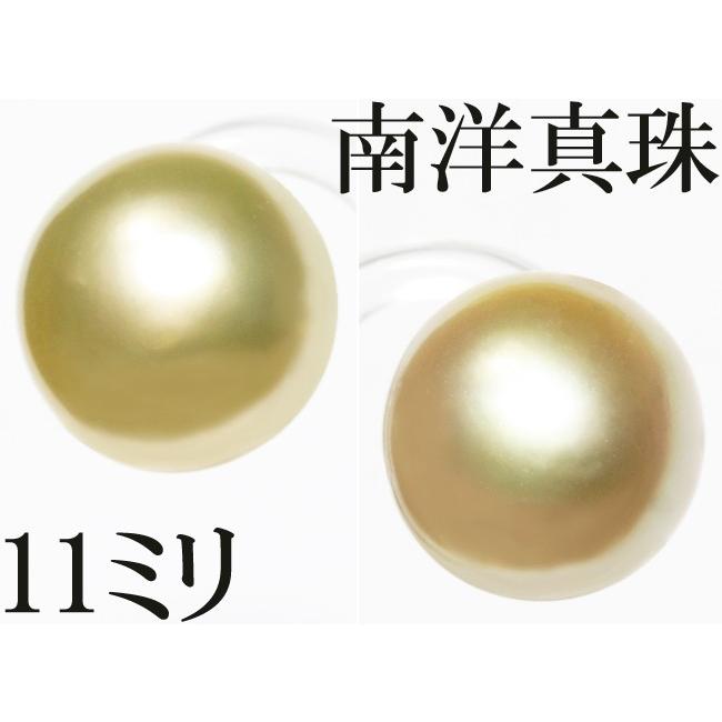 白蝶真珠 南洋真珠 パール 11mm ピアス K18 クリーム イエロー  