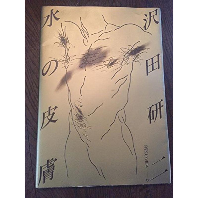 水の皮膚 沢田研二 PARCO出版 帯付き 水の皮膚 沢田研二(石岡瑛子 演出、鋤田正義 撮影、東野芳明 文
