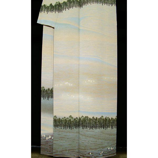 訪問着 長野県 奥裾花 自然園 水芭蕉 風景調絵 袷 適用身長154cm 