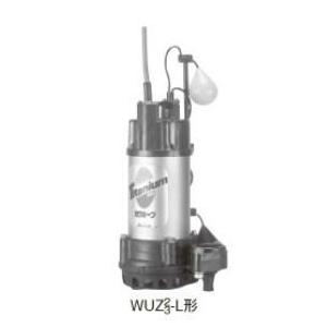 水中用（海水用）ポンプ カワホープWUZ2-506-0.4SL 川本ポンプ