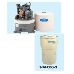 TERAL THP6-V750S2浅井戸用インバーターポンプ 水道加圧装置 テラル