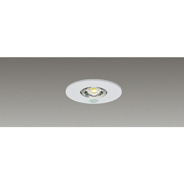 TOSHIBA（東芝） β東芝 照明器具【LEDDM50101】LED電源別置形 非常用