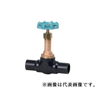 大和バルブ【B10EGN-20A】ダイレクト弁 ゲートバルブ〔GE〕〔FD 