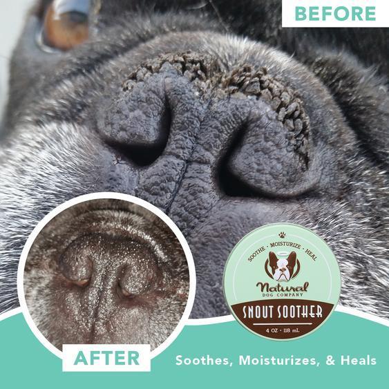 natural DOG COMPANY ナチュラルドッグカンパニーSnout Soother_お鼻ケアバーム 59ml 缶 |  | 03