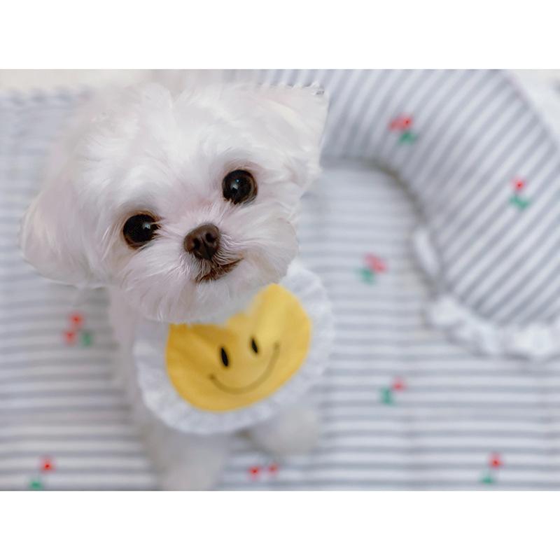 【犬服】にこちゃん スタイ かわいい 犬服 バースデイ 誕生日 |  | 04