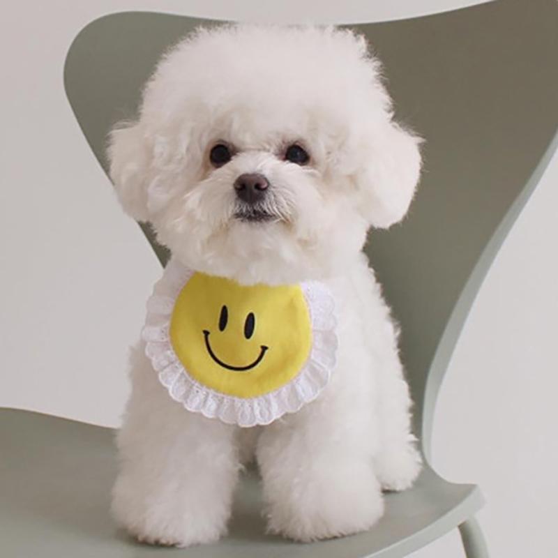 【犬服】にこちゃん スタイ かわいい 犬服 バースデイ 誕生日 |  | 05