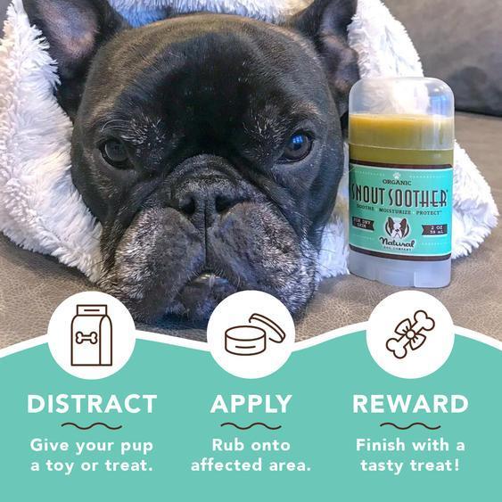 natural DOG COMPANY ナチュラルドッグカンパニーSnout Soother_お鼻ケアバーム 118ml 缶 |  | 03