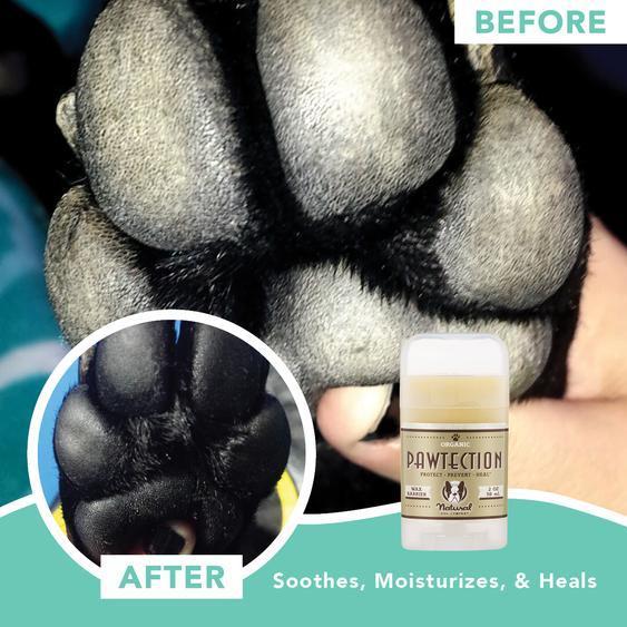 natural DOG COMPANY ナチュラルドッグカンパニーPawTection 肉球保護バーム 118ml缶 |  | 04