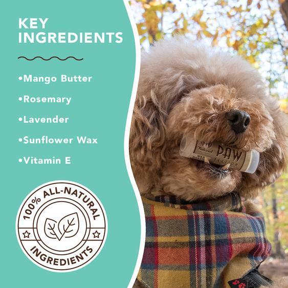 natural DOG COMPANY ナチュラルドッグカンパニーPawTection 肉球保護バーム 4.5ml |  | 03