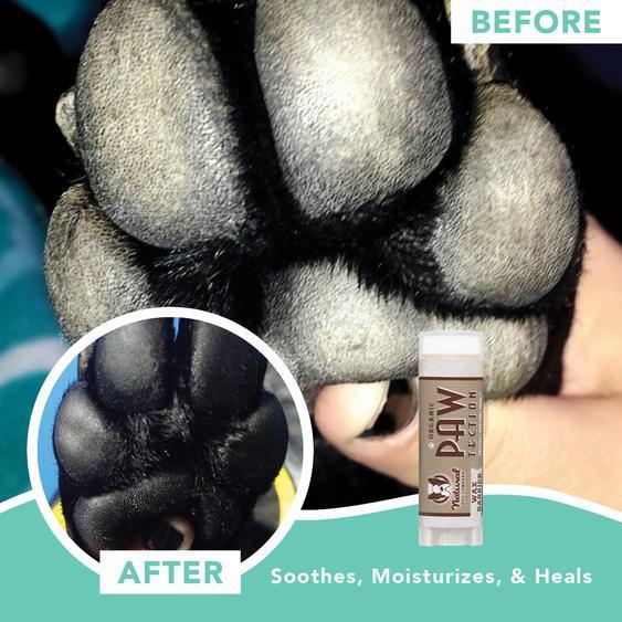 natural DOG COMPANY ナチュラルドッグカンパニーPawTection 肉球保護バーム 4.5ml |  | 04