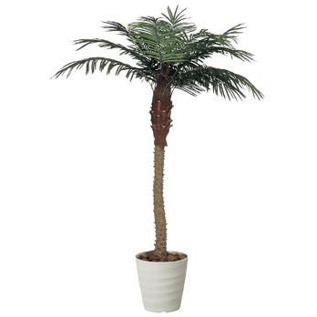 アートグリーン》《人工観葉植物》光触媒 光の楽園 フェニックス