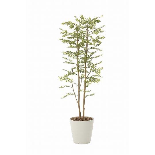 《アートグリーン》《人工観葉植物》光触媒 光の楽園 ゴ―ルデンリ―フ１．８ 155P450