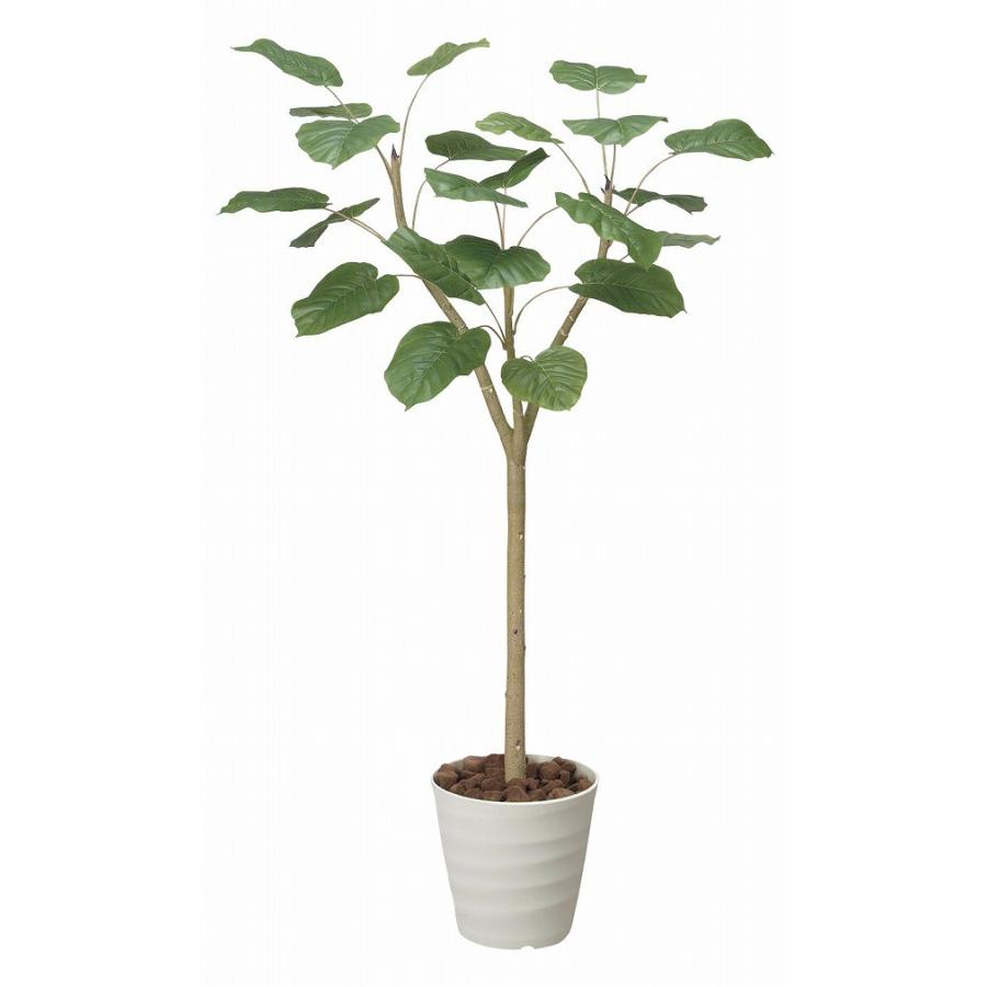 《アートグリーン》《人工観葉植物》光触媒　光の園　ウンベラ―ダ１．５５