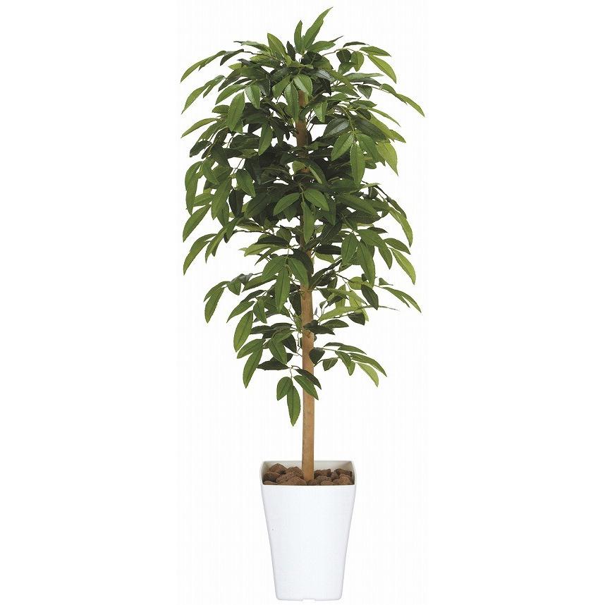 正規激安 アートグリーン 人工観葉植物 光触媒 光の楽園 アルデシア１ ２ 1a180 クローバープレイン 通販 Yahoo ショッピング 格安即決 Www Iccostierovico Edu It