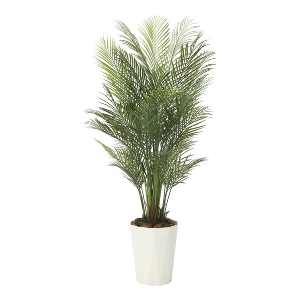 直販卸値 アートグリーン 人工観葉植物 光触媒 光の楽園 アレカパ ム１ ７ ポリ製 06a400 クローバープレイン 通販 Yahoo ショッピング 超特価激安 Franks Restaurant Com