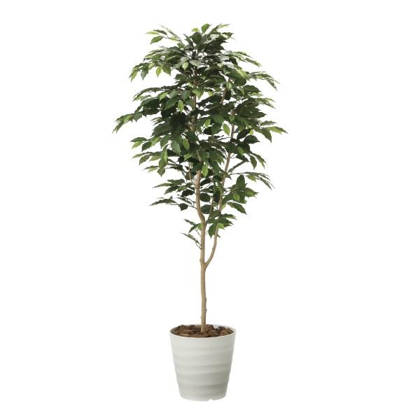 売り出し正規品 アートグリーン 人工観葉植物 光触媒 光の楽園 ベンジャミン１ ６ 高級 Ameriaadvisory Am