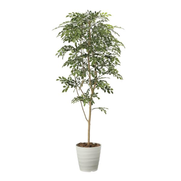 《アートグリーン》《人工観葉植物》光触媒　光の楽園　トネリコ１．８　2094P380