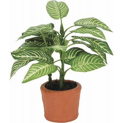 《アートグリーン》《人工観葉植物》<br>光触媒　光の楽園　カントリ−ゼブラ | 