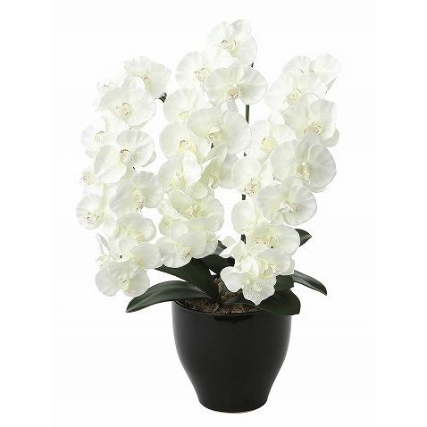 アートフラワー》《人工観葉植物》光触媒 光の楽園 プレミアム胡蝶蘭W