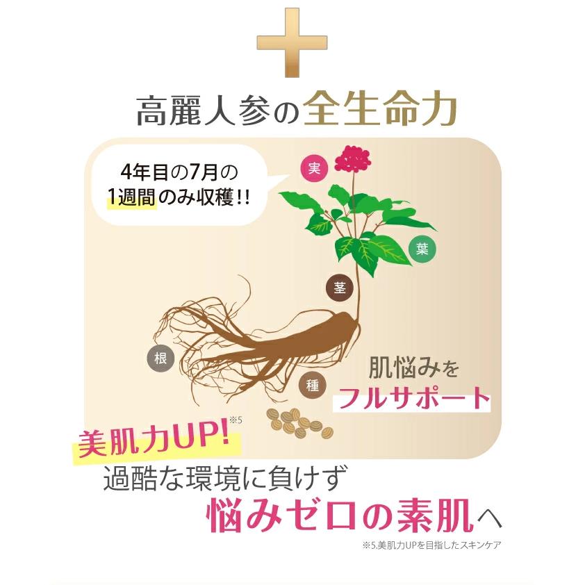 クーポン】ヴィブリアン エスプリーナ RGII インナーリフト Wジンセン