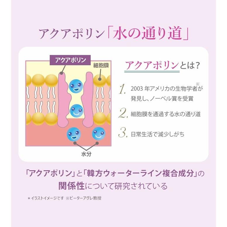【クーポン】サイムダン プレミアム スーパー STEM CMC トリートメント＜つめかえ用 450ml＞ | SAIMDANG | 02