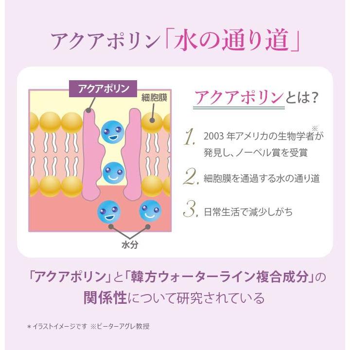SAIMDANG（サイムダン） プレミアム ファーストクラス 美容液化粧水