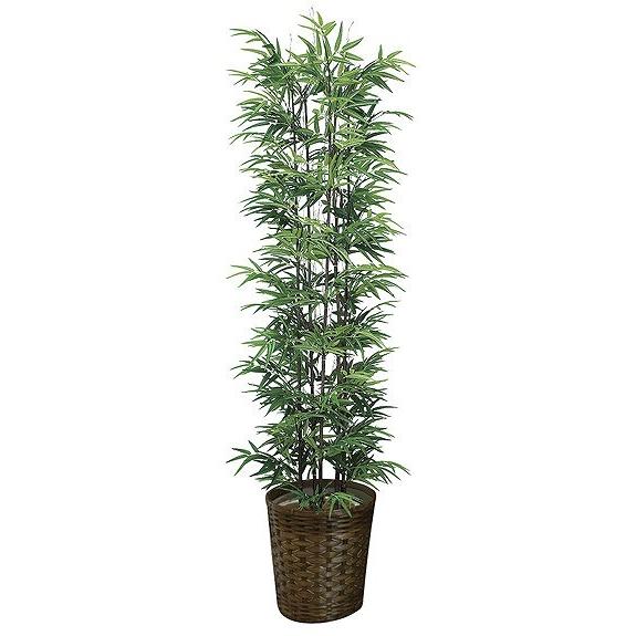 《竹・バンブー》《アートグリーン》《人工観葉植物》光触媒　光の楽園　黒竹1.8（幹：天然黒竹）