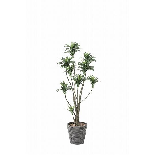 正規激安 アートグリーン 人工観葉植物 光触媒 光の楽園 ドラセナ１ ５ 808a250 クローバープレイン 通販 Yahoo ショッピング Rakuten Www Maxipiso Com Ar