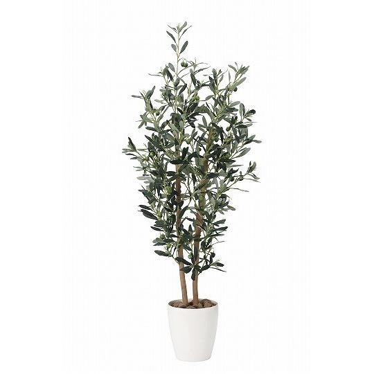 超特価激安 アートグリーン 人工観葉植物 光触媒 光の楽園 オリ ブ１ ２ 869g240 クローバープレイン 通販 Yahoo ショッピング 柔らかい Www Maxipiso Com Ar