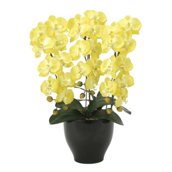 アートフラワー》《人工観葉植物》光触媒 光の楽園 胡蝶蘭セリースY