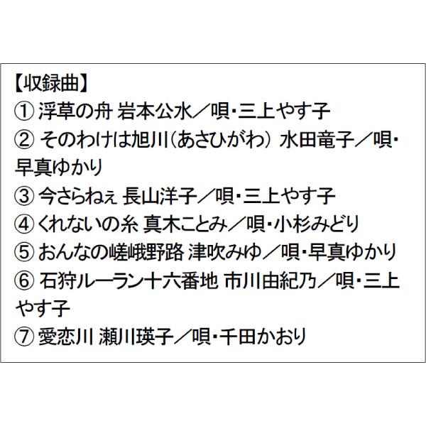 音声多重DVDカラオケ BEVシリーズ 「音声多重DVDカラオケ