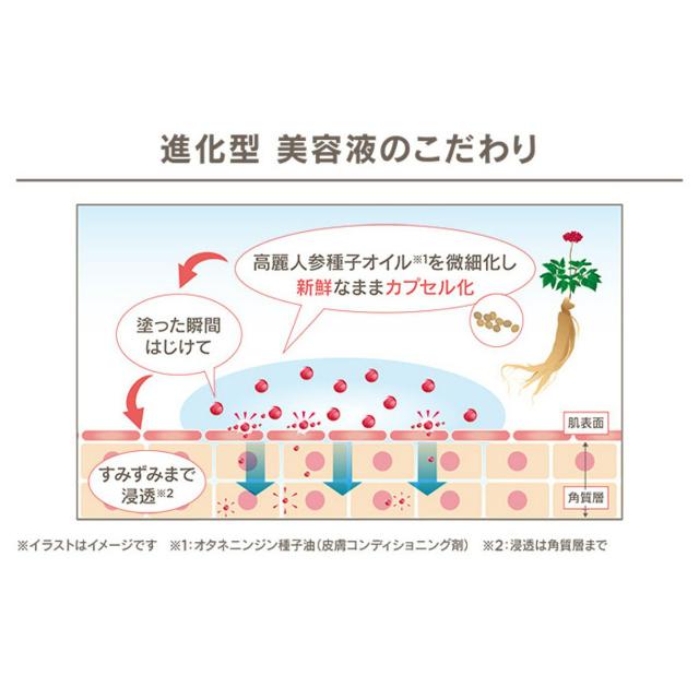 クーポン】ヴィブリアン エスプリーナ RGII インナーリフト W