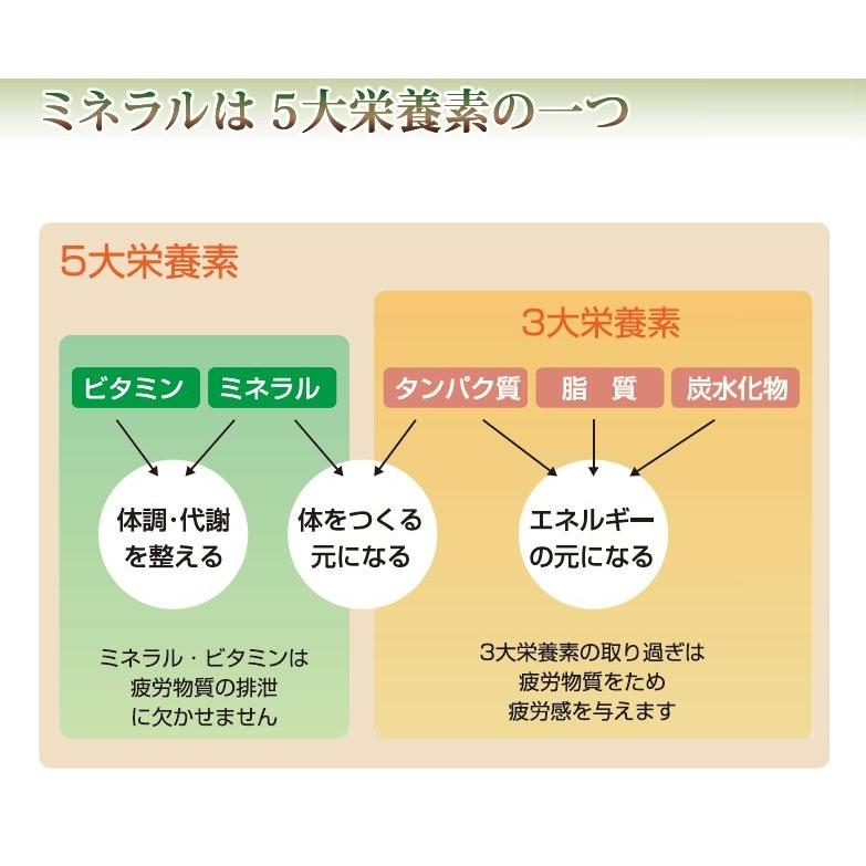 【クーポン】ライフバランス フルボ酸原液 100ml [飲用 ミネラル フルボ酸 無添加 天然成分 液体 サプリメント 健康食品 栄養 補給 水溶性 キレート作用] |  | 03
