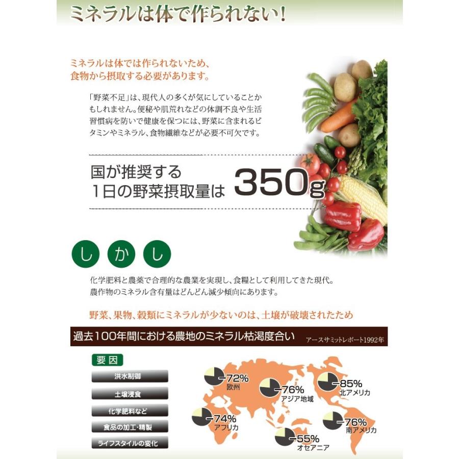 【クーポン】ライフバランス フルボ酸原液 100ml [飲用 ミネラル フルボ酸 無添加 天然成分 液体 サプリメント 健康食品 栄養 補給 水溶性 キレート作用] |  | 05